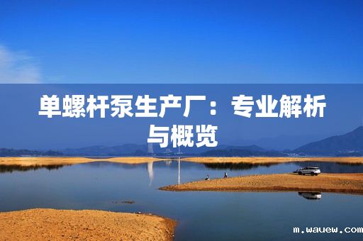 单螺杆泵生产厂:专业解析与概览 单螺杆泵生产厂:专业解析与概览