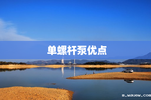 单螺杆泵优点 单螺杆泵优点