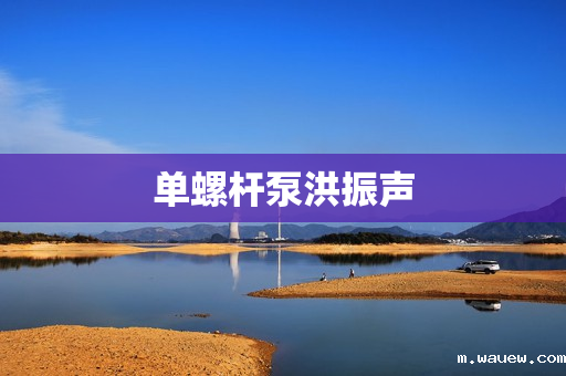 单螺杆泵洪振声 单螺杆泵洪振声