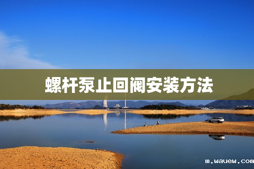 螺杆泵止回阀安装方法 螺杆泵止回阀安装方法