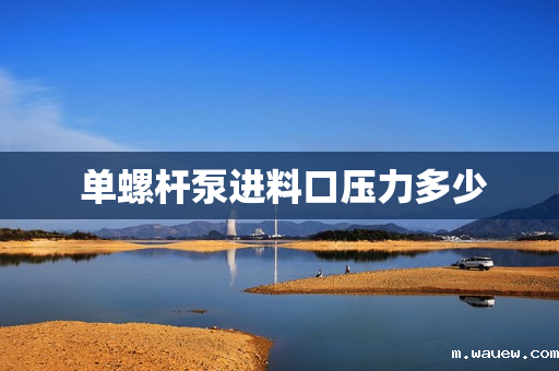 单螺杆泵进料口压力多少 单螺杆泵进料口压力多少
