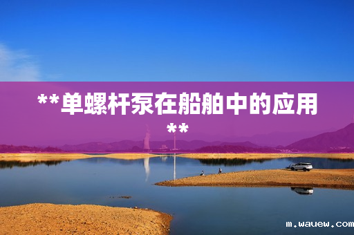 **单螺杆泵在船舶中的应用** **单螺杆泵在船舶中的应用**