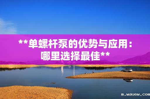 **单螺杆泵的优势与应用:哪里选择最佳** **单螺杆泵的优势与应用:哪里选择最佳**