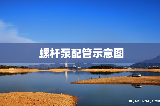 螺杆泵配管示意图 螺杆泵配管示意图