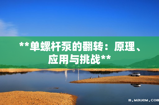 **单螺杆泵的翻转:原理、应用与挑战** **单螺杆泵的翻转:原理、应用与挑战**