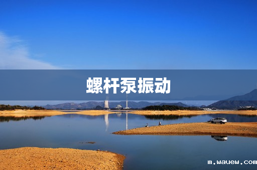 螺杆泵振动 螺杆泵振动