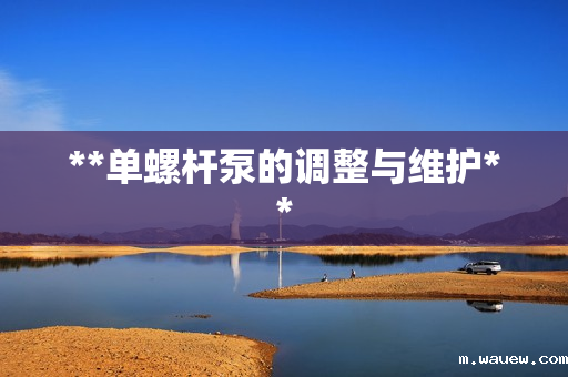 **单螺杆泵的调整与维护** **单螺杆泵的调整与维护**