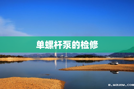 单螺杆泵的检修 单螺杆泵的检修