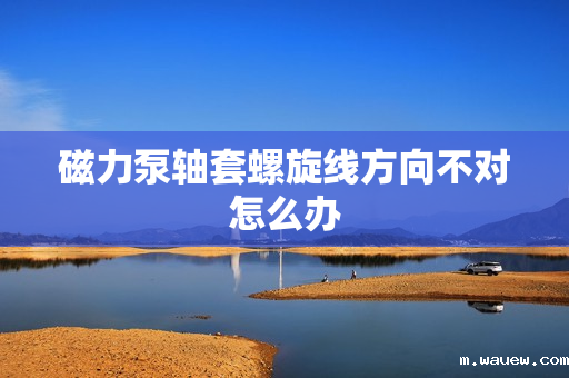 磁力泵轴套螺旋线方向不对怎么办 磁力泵轴套螺旋线方向不对怎么办