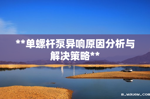 **单螺杆泵异响原因分析与解决策略** **单螺杆泵异响原因分析与解决策略**