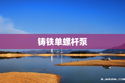 铸铁单螺杆泵 铸铁单螺杆泵