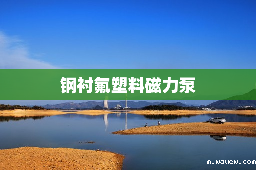 钢衬氟塑料磁力泵 钢衬氟塑料磁力泵