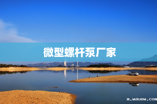 微型螺杆泵厂家 微型螺杆泵厂家