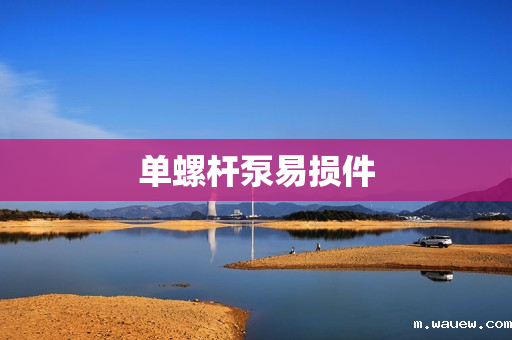 单螺杆泵易损件 单螺杆泵易损件