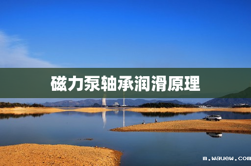 磁力泵轴承润滑原理 磁力泵轴承润滑原理