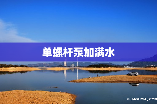 单螺杆泵加满水 单螺杆泵加满水