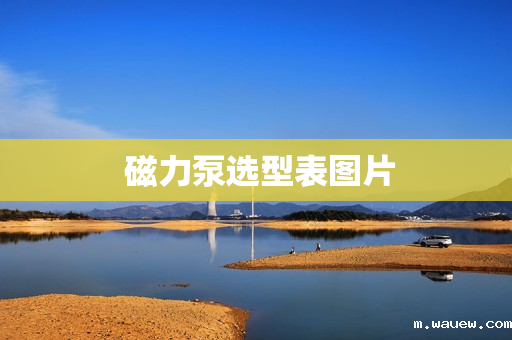 磁力泵选型表图片 磁力泵选型表图片