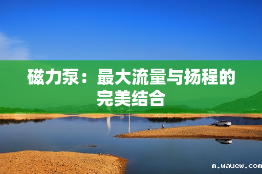 磁力泵:最大流量与扬程的完美结合 磁力泵:最大流量与扬程的完美结合