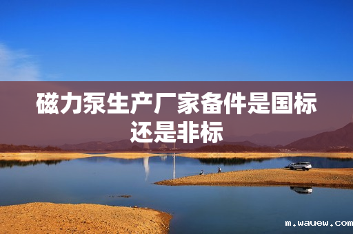 磁力泵生产厂家备件是国标还是非标 磁力泵生产厂家备件是国标还是非标