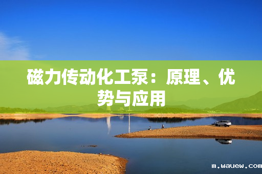磁力传动化工泵:原理、优势与应用 磁力传动化工泵:原理、优势与应用