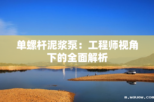 单螺杆泥浆泵:工程师视角下的全面解析 单螺杆泥浆泵:工程师视角下的全面解析