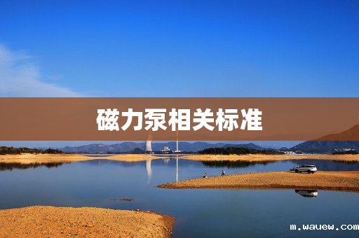 磁力泵相关标准 磁力泵相关标准