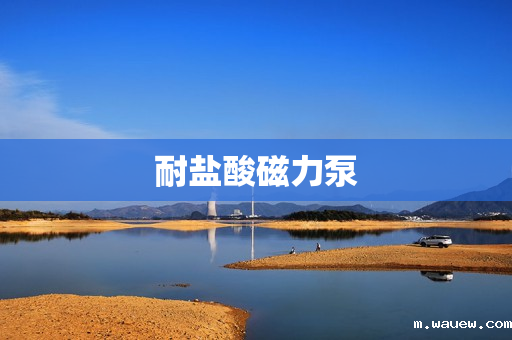 耐盐酸磁力泵 耐盐酸磁力泵