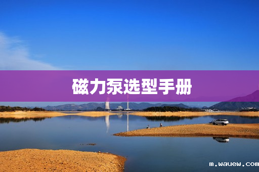 磁力泵选型手册 磁力泵选型手册