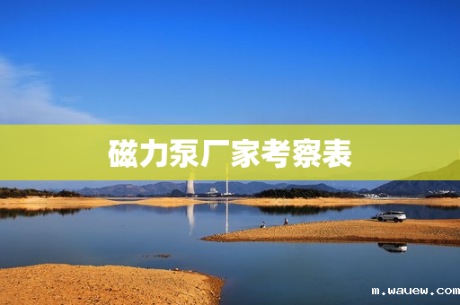 磁力泵厂家考察表 磁力泵厂家考察表