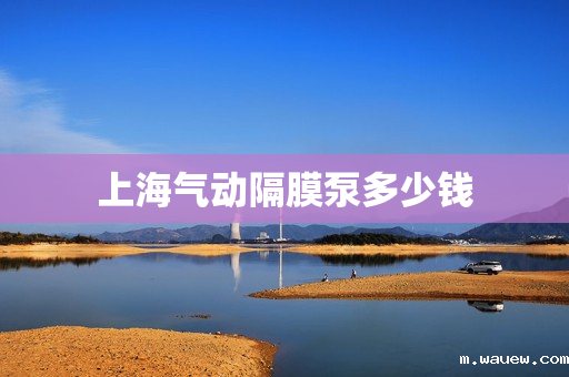 上海气动隔膜泵多少钱 上海气动隔膜泵多少钱