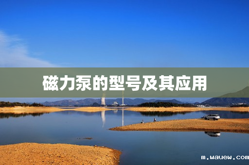 磁力泵的型号及其应用 磁力泵的型号及其应用