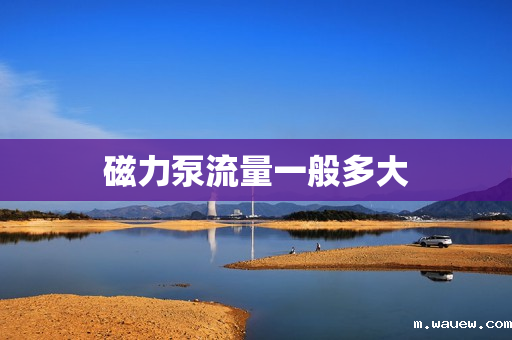 磁力泵流量一般多大 磁力泵流量一般多大