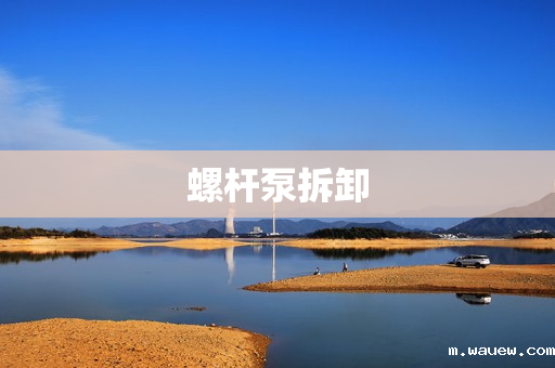 螺杆泵拆卸 螺杆泵拆卸