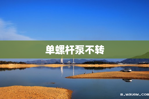 单螺杆泵不转 单螺杆泵不转