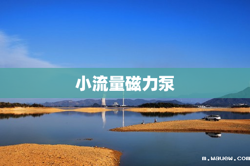 小流量磁力泵 小流量磁力泵