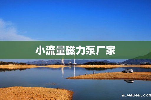 小流量磁力泵厂家 小流量磁力泵厂家