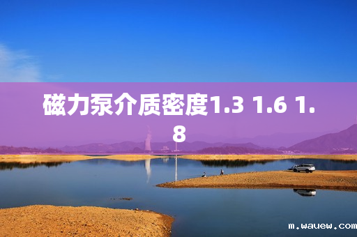 磁力泵介质密度1.3 1.6 1.8 磁力泵介质密度1.3 1.6 1.8