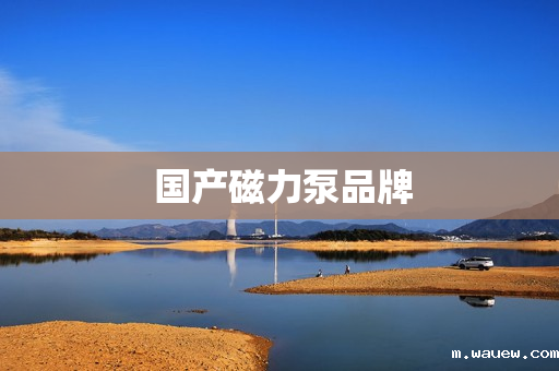 国产磁力泵品牌 国产磁力泵品牌