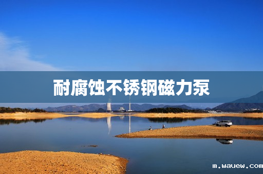 耐腐蚀不锈钢磁力泵 耐腐蚀不锈钢磁力泵