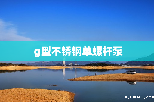 g型不锈钢单螺杆泵 g型不锈钢单螺杆泵