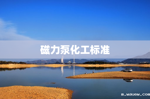 磁力泵化工标准 磁力泵化工标准