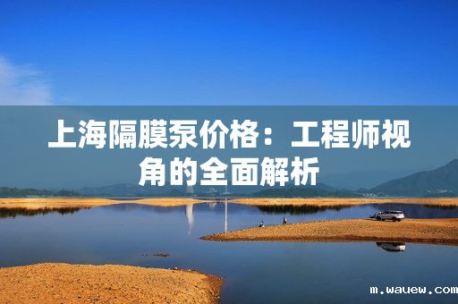 上海隔膜泵价格:工程师视角的全面解析 上海隔膜泵价格:工程师视角的全面解析