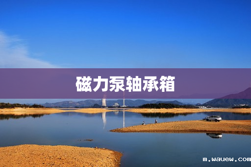 磁力泵轴承箱 磁力泵轴承箱