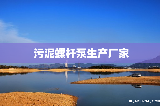 污泥螺杆泵生产厂家 污泥螺杆泵生产厂家