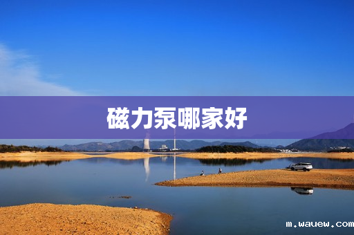 磁力泵哪家好 磁力泵哪家好