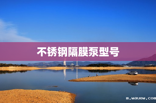 不锈钢隔膜泵型号 不锈钢隔膜泵型号