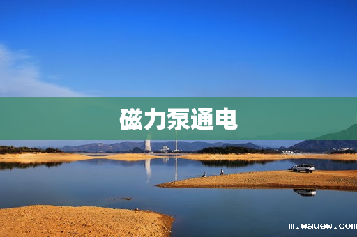 磁力泵通电 磁力泵通电