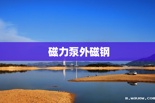 磁力泵外磁钢 磁力泵外磁钢