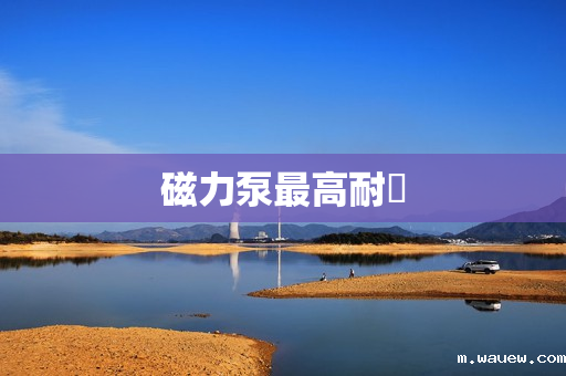 磁力泵最高耐溫 磁力泵最高耐溫