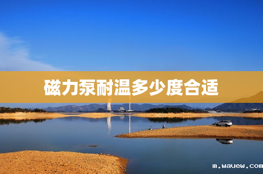 磁力泵耐温多少度合适 磁力泵耐温多少度合适